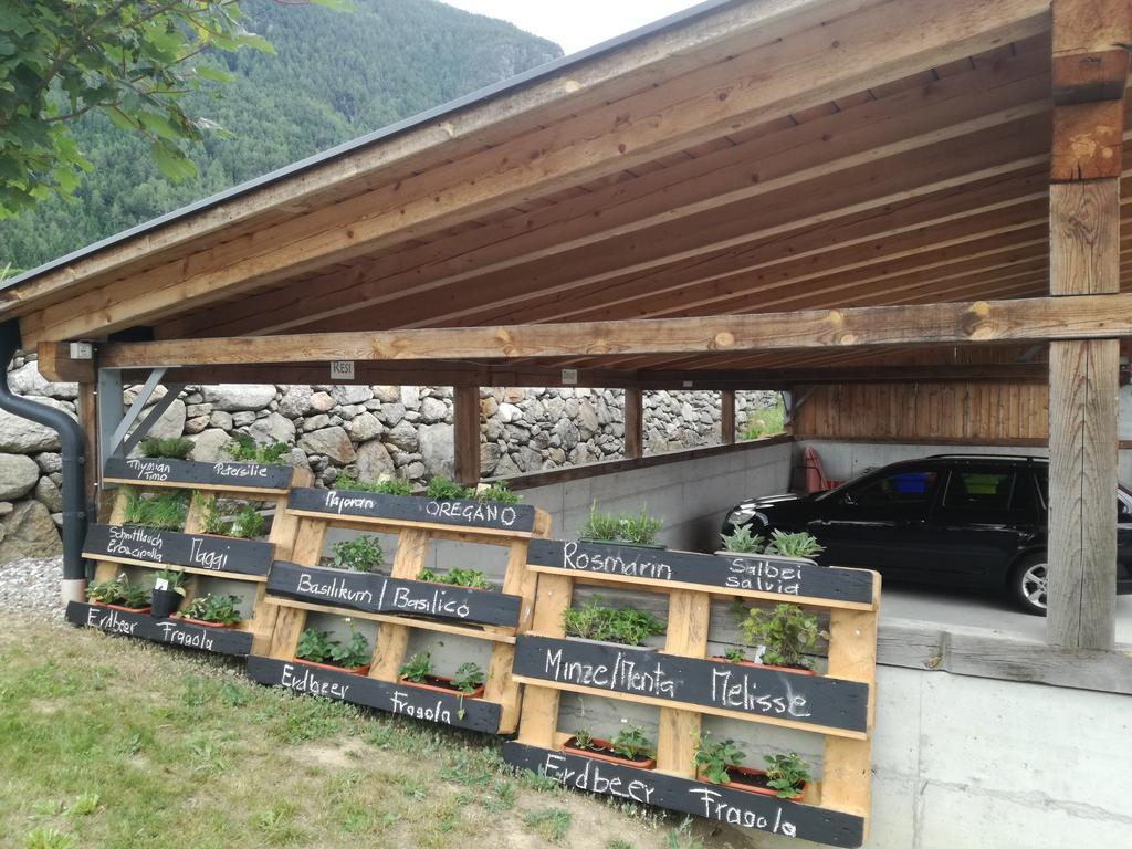 Bartlmairhof Farm stay