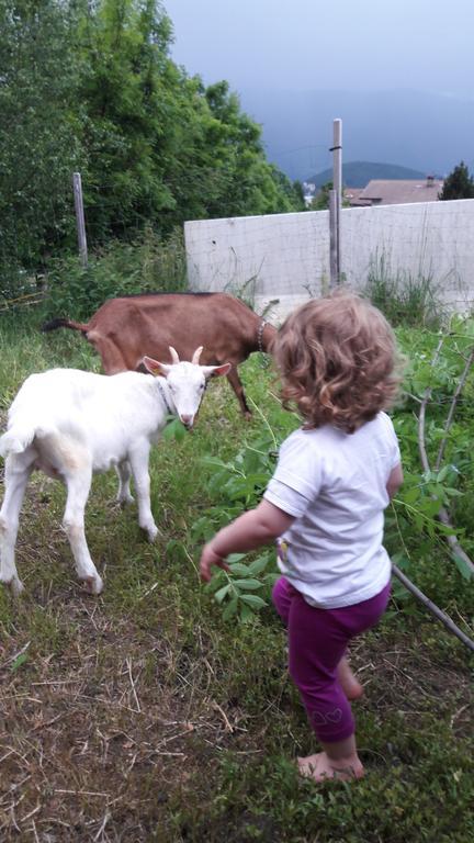 Farm stay Bartlmairhof *
