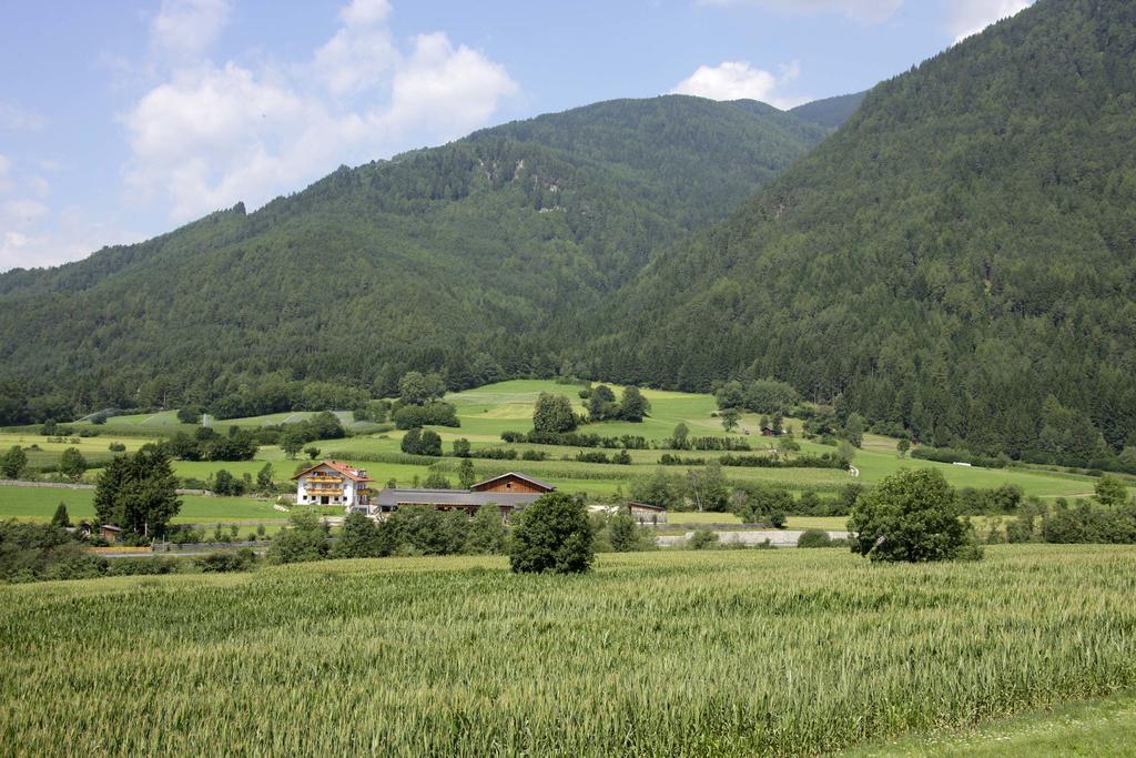 Bartlmairhof Farm stay