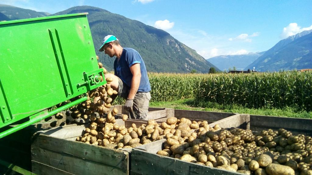 Farm stay Bartlmairhof San Giorgio (Trentino Alto Adige)