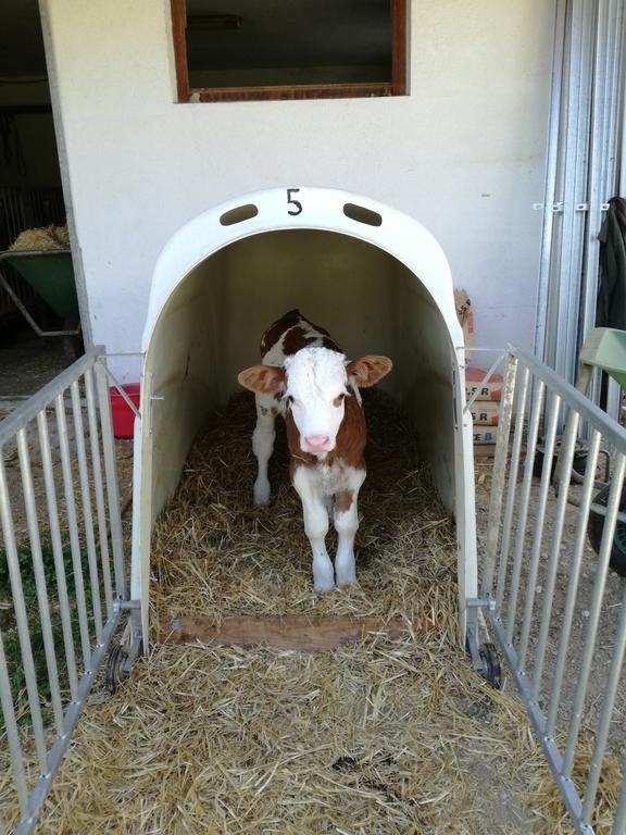 Bartlmairhof *